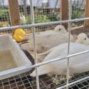 복덕농장 이미지