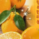 땡큐베리팜 이미지