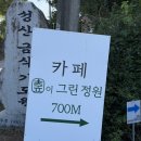 더그린;사계절의꽃 | 청주 오창대형카페 추천, 오창저수지뷰와 정원이 예쁜 숲이그린정원 후기