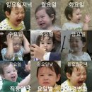 동안 이미지