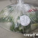 사랑채치킨 | 겨울 동치미 사랑채마켓 택배로 김장 끝