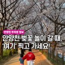 안양천 제방(오금교~신정교, 이씨다리앞) - 2112 | 안양천 벚꽃길 주차, 어디에 할까? '도보 5분 거리' 주차장 정리