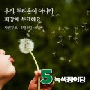 녹색다방 - 울진군 후포삼율로 142-1 | 녹색다방