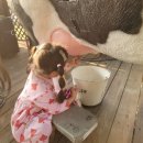 고구려 목장 이미지