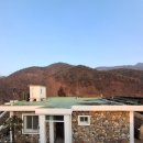 돌고래펜션 | 청도강변돌고래펜션 본채 후기 깔끔한 조경이 인상적이었던 곳