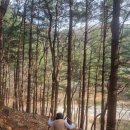 금식농장 이미지