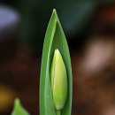 부천자연생태박물관 이미지