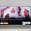 김철수미용실 이미지