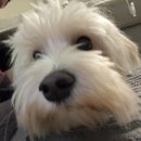 아낌없이주는나무 이미지