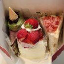 대전 케이크 맛집 땡큐베리머치 방문 후기