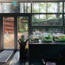 스테이우린 이미지