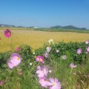 아이원테크 이미지