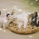 시립북부노인병원앞 | 노원구요양원 서울시립중랑노인전문요양원 보호자 면회제도 자세히