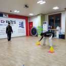 높은 바람 태권도 이미지