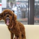 글라스스토리이도점 이미지