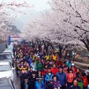 산꽃벚꽃마을 오토캠핑장 이미지