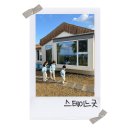 부룡수 스테이. 또 다른 애월 | 제주애월 5인가족 숙소 스테이느긋 풀빌라