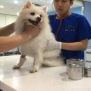 김포한강5로-L 이미지