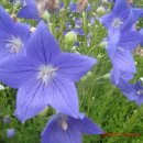 성북2리 이미지