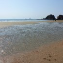 코리아플라워파크 이미지