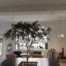 북면364 | 북면카페364 위치,주소 ,후기