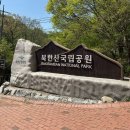 국립공원공단 북한산생태탐방원 청소년운영위원회(주니어레인저) 지원 후기