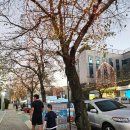 금호생막창