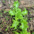 상준농장 이미지