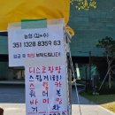부평역광장 중앙무대 옆 | 2025 마산 가고파 국화축제 후기 | 불꽃놀이 일정(11/5 수요일) 안내까지 🌼