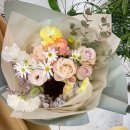 사파동233 이미지