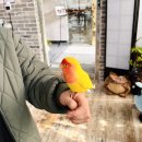 덕만농장 | 전남 나주 가볼만한곳 ‘나주랜드’ 실내동물원 이색 데이트, 앵무새 먹이주기 체험 후기