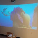 피아첼음악학원 이미지