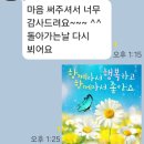 대구광역시에서 제주공항 차량탁송 고객만족최우수업체 제주올레전국탁송