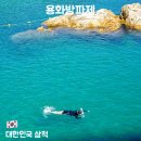 은빛물고기 | 삼척 가볼만한곳 용화해수욕장 용화방파제 스노클링 후기 물고기 많은 명소 준비물부터 주차까지