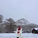 까페 오르골 부산 | [Day2 홋카이도 패키지] 도야/오타루/오르골전시장/오타루 키티카페/키티컵