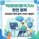 [완벽한 DX 가이드] 빅데이터 분석을 위한 파이썬 기초 | 빅데이터분석기사 완전 정복 | 비전공자 독학 합격 가이드 총정리