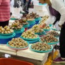 대일과자 이미지