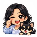 신정식당 | 🥩 신정네거리 고기맛집 솔직후기 | 육갑식당 내돈내산 🍖