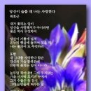 당신이 슬플 때 나는 사랑한다 - 복효근 이미지