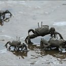 서포시장길 네이버블로그