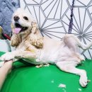 당감동물병원 이미지