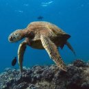 (주)스카이렌트카 이미지