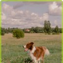 수 동물병원 이미지