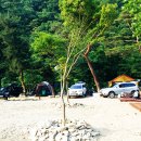 지리산반내골오토캠핑장 이미지