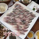 해변횟집 | 제주 애월항 고등어회가 맛있는 해변횟집 내돈내산 후기