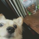 남매농장 이미지