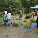 농부네 텃밭 이미지