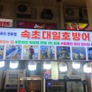 속초대일호방어1 네이버블로그