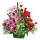 모충초교 이미지