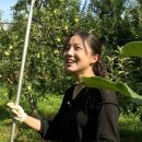 은영농장 이미지